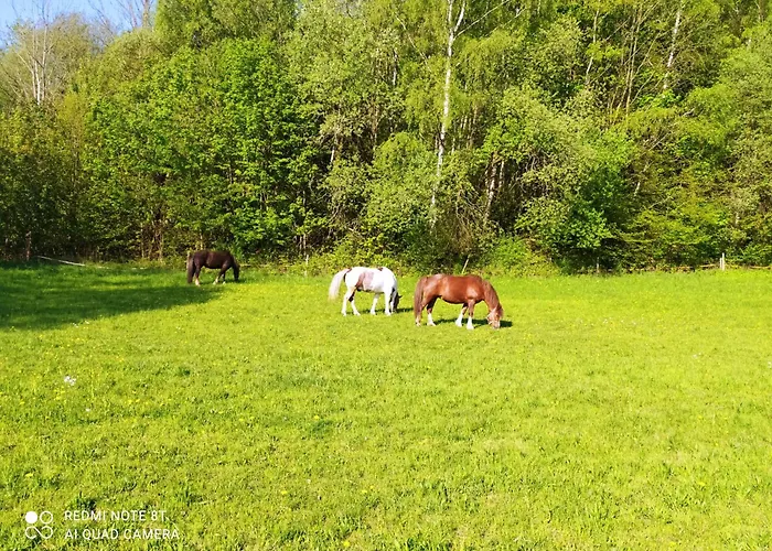 Selsky Dvur Affittacamere 3*